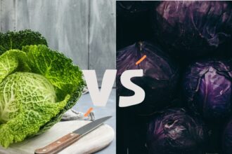 Difference Between Red Cabbage and Green Cabbage